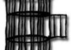 Birdcage
