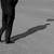 shadowbboy