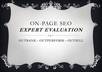 Seo eval report