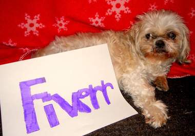 have my dog hold up a piece of paper saying your buisness name big1