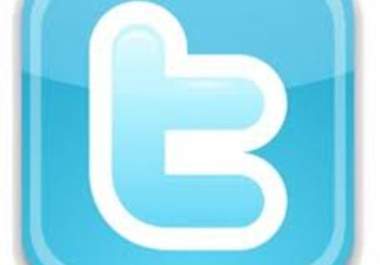send out 250 direct message through your twitter account big1