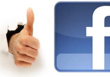 show you the real way to get more facebook likes big1