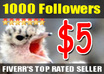 1000-followers