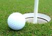 provide you with 1305 Articles on Golf