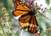 answer your questions on photography