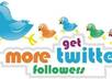 Get-more-twitter-followers