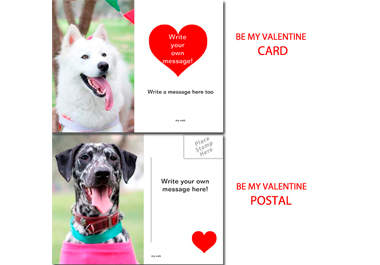 give you 3 collectible dog valentine cards, i can write your own personal message, unique photos, 18 models, im a photographer big1