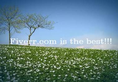 add 6 pictures and a comment to this Spring background big1