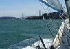 give you basic sailing tips and tricks, and answer general and specific sailing-related questions small1