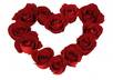 send you a list of 101 romantic reasons Why I Love You that you can use as a romantic gesture for your partner/partner to be
