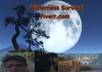 write a 500 word article with tips and advice On How to prepare for and Survive Natural Disasters Or how to Survive alone in The Woods small1