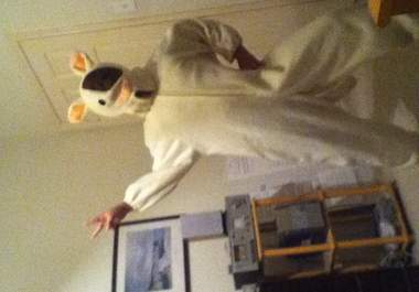 run around my neighborhood/area in a full body cat suit screaming your message with video evidence big1