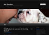 write a post about your site on a dog blog and link to it