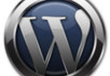 give you a complete pack of wordpress themes of diferent niches and install on your server big1