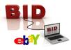 give you an EBAY bid to kickstart your auction