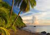 send anyone a handwritten postcard from nature island of Dominica to anywhere in the world