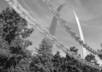 take a high res photo of the St Louis Arch with City Scape background