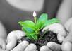 convert your image to black and white and isolate the colors of your choice small1