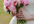 create a wedding video greeting or invitation