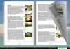 animate your 5 page book into a flash animated ebook