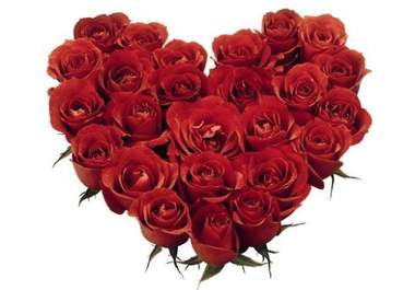 write your lovers name with roses big1