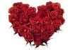 write your lovers name with roses
