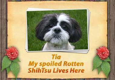 create an image with your Dog Picture Name and breed big1