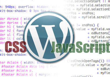 professionally fix, install, optimize your Wordpress blog or website big1