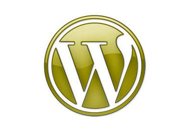 develop and design your website or blog on wordpress big1