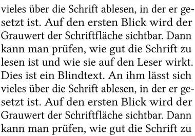 proofread your German text up to 400 words within 12 hours big1