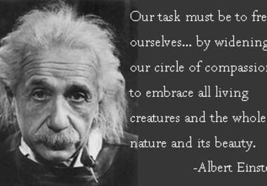 create a quote image on a specific theme for your website or FB page big1