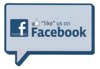 give you 400+ FB likes/fans for your fan page, face like for photos like, facebook vote, website like, blog like,no need admin in 1 days big1