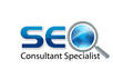 give you an expert advice regarding your website design, SEO, marketing, promotion, backlinks, content, in order to rank higher in google