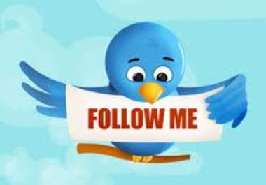 teach you the ways to increase the traffic through your twitter account big1