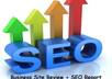 give you a business website review and SEO report to help you improve your website ranking, increase visitors and sales small1
