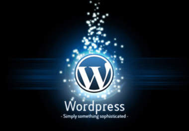 fix your wordpress problems, issues, bugs big1