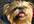 place your text on this cute funny dog video to promote your message, birthday or event online