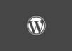 customize wordpress themes etc small1