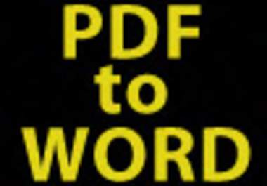 convert your PDF to Word or text big1