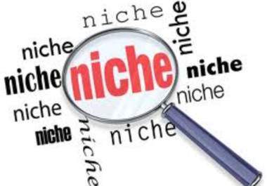 find you a low competition and profitable niche you can easily rank on the search engines big1