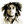 zionlion