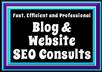 provide a mini SEO consultation for your blog or website small1
