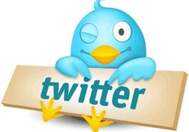 advertise and say anything you want through my twitter it has 50K followers big1