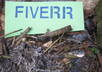 make your name or your message appear out of the ashes of an Adirondack Mountain campfire small1
