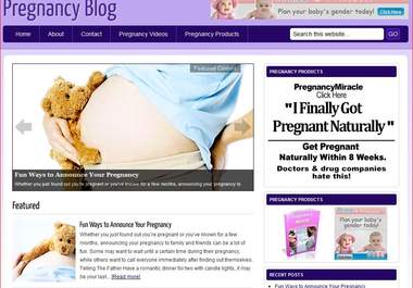 install this blog script about Pregnancy big1