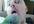 create a music video of me and my Quaker Parrot to any song you want