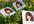 make your photo into 3 polaroid photos on the grass