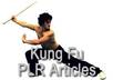 give you 10 premium PLR Kung Fu articles