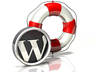 transfer your wordpress website or blog to another hosting and possibly new domain name small1