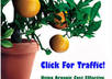 bookmark a URL on the top 14 sites, not general bookmarking sites, instead on high traffic ones like Digg, shetoldme, facebook, Quora, etc
